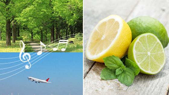 香りとBGMのお出迎え