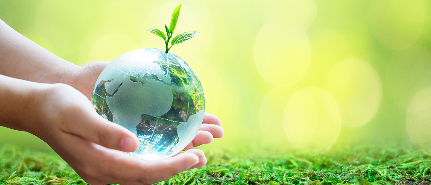 環境への取り組み