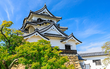 観光の拠点に最適